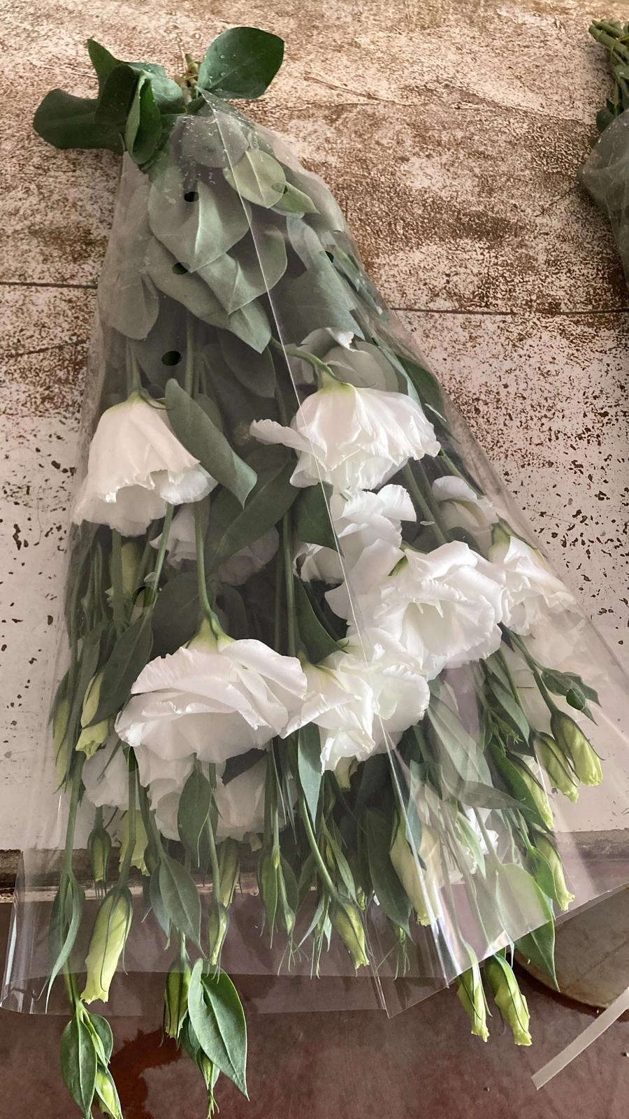 fresh white lisianthus flowers wholesale