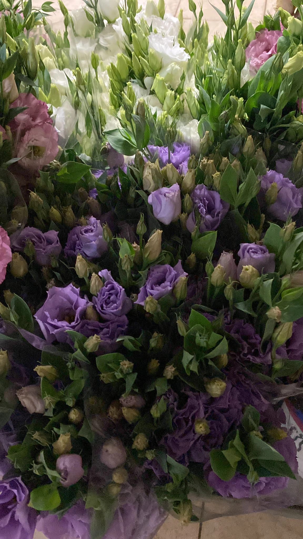 lavender lisianthus wholesale turkey