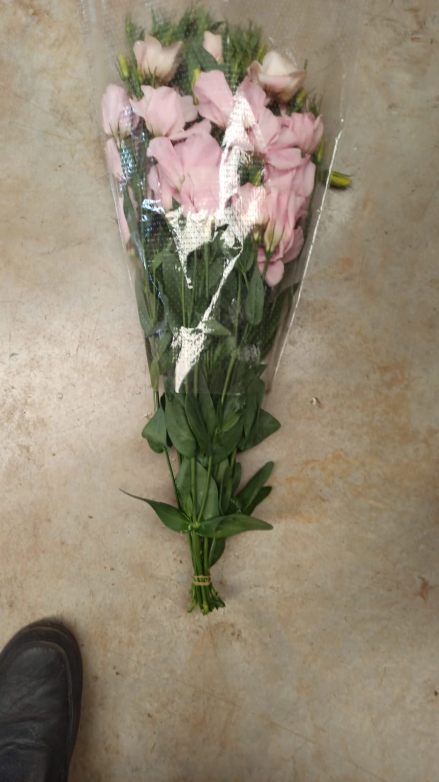 order wholesale flowers pink lisianthus