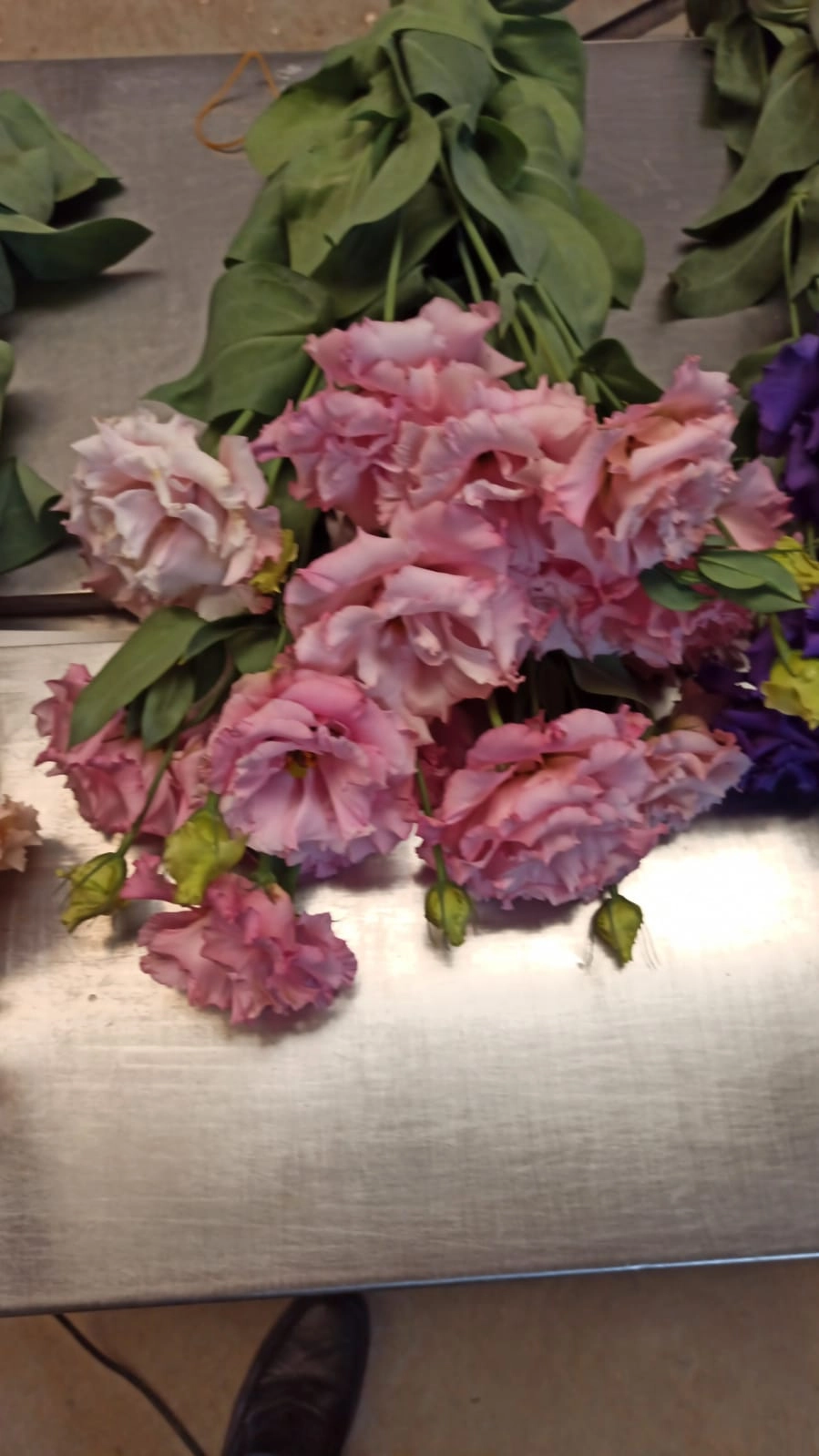 pink flowers wholesale from turkey lisianthus