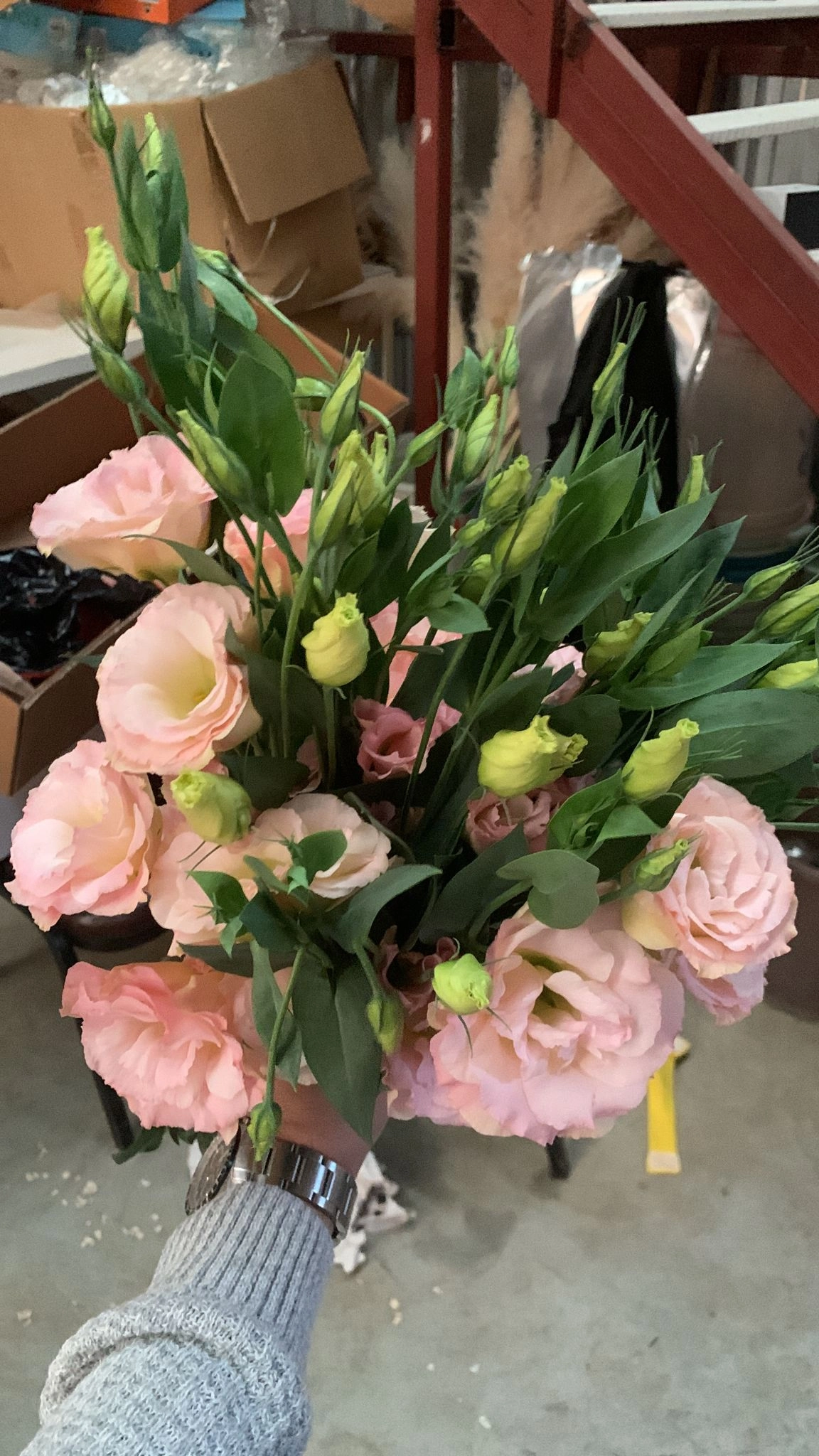 pink lisianthus wholesale in bulk from turkey