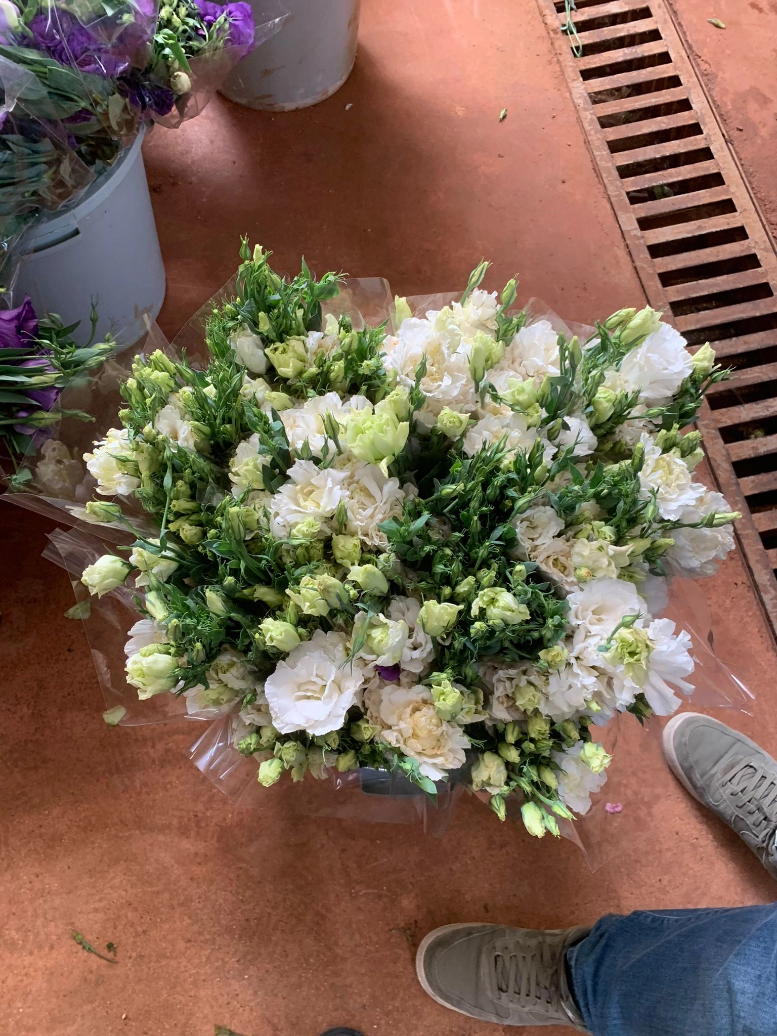 white lisianthus flowers wholesale turkey