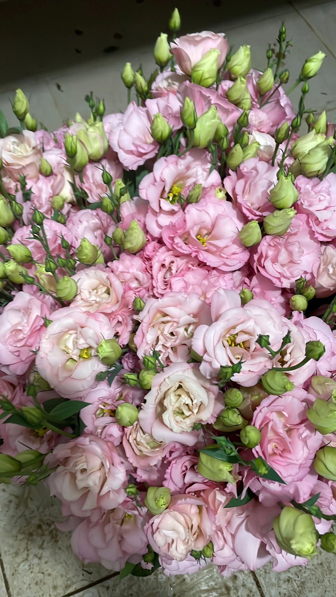 wholesale lisianthus pink flowers