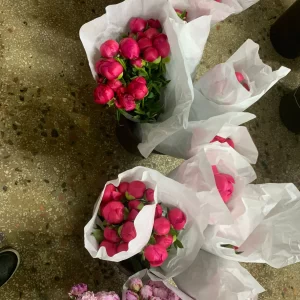 wholesale-peony-from-turkey