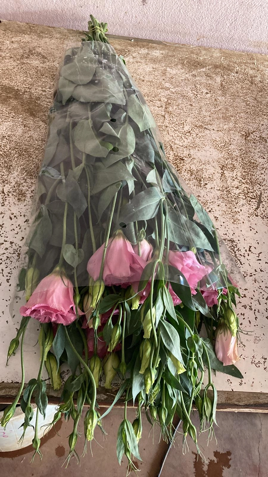 wholesale pink flowers lisianthus in bulk