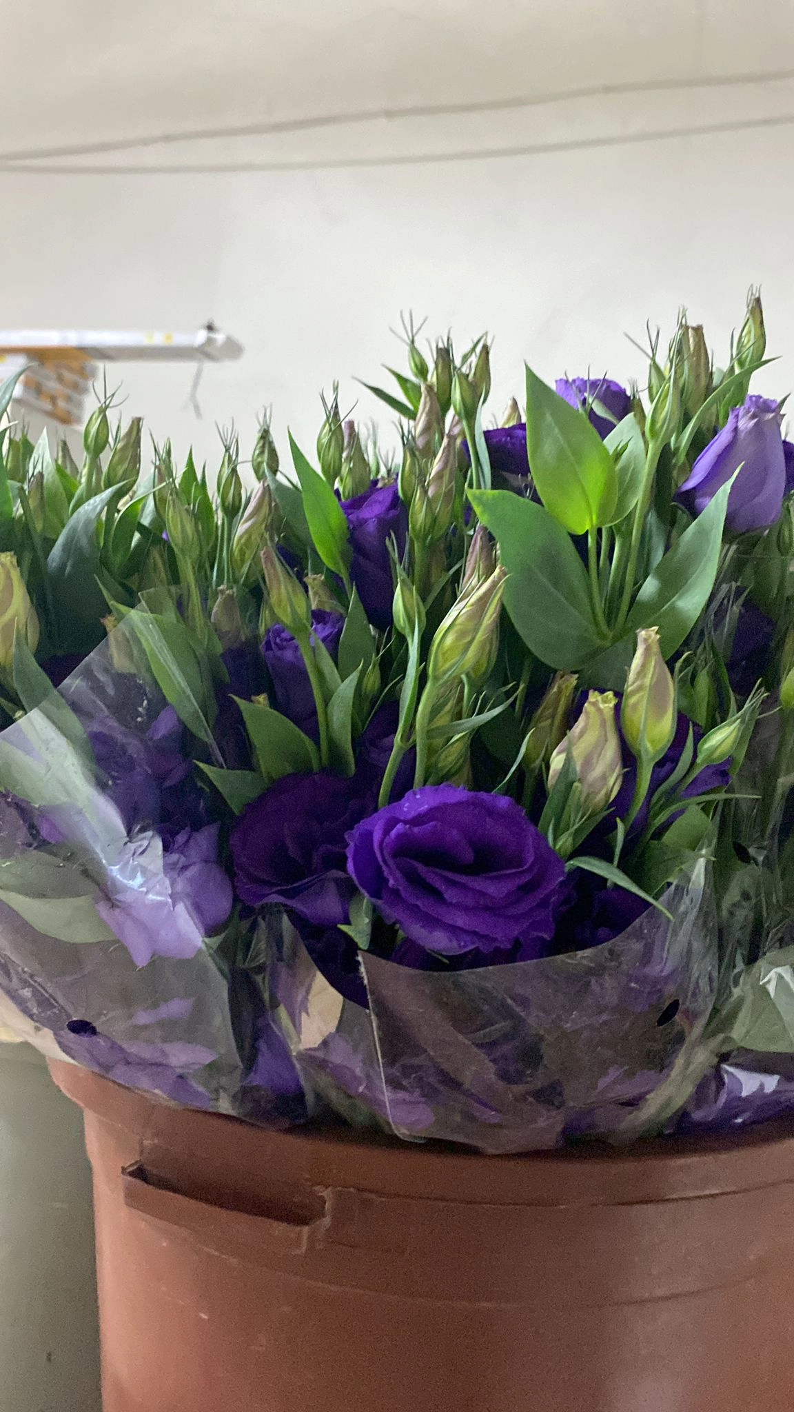 wholesale purple flowers lisianthus