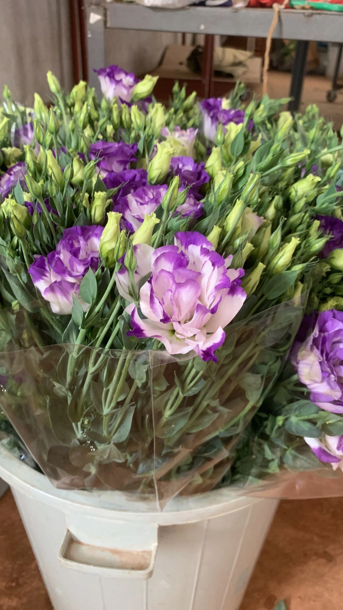 wholesale-purple whitelisianthus-flowers-from-turkey