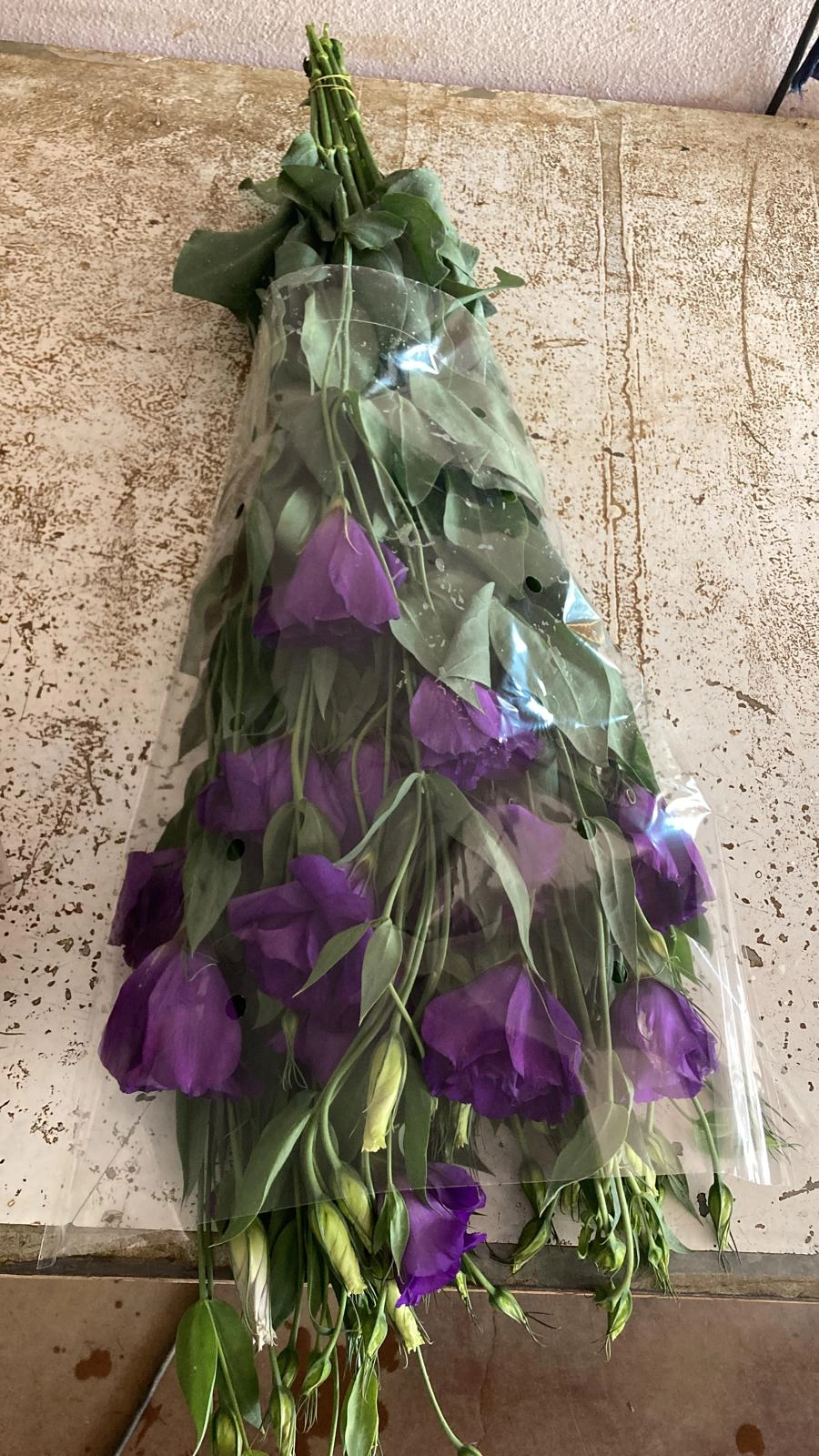 wholesale supplier purple lisianthus flowers