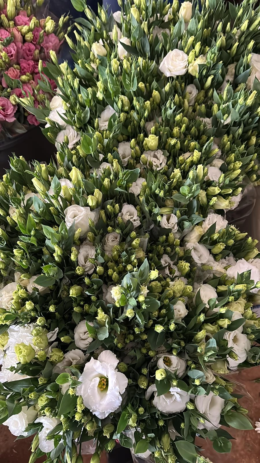 wholesale white lisianthus flower