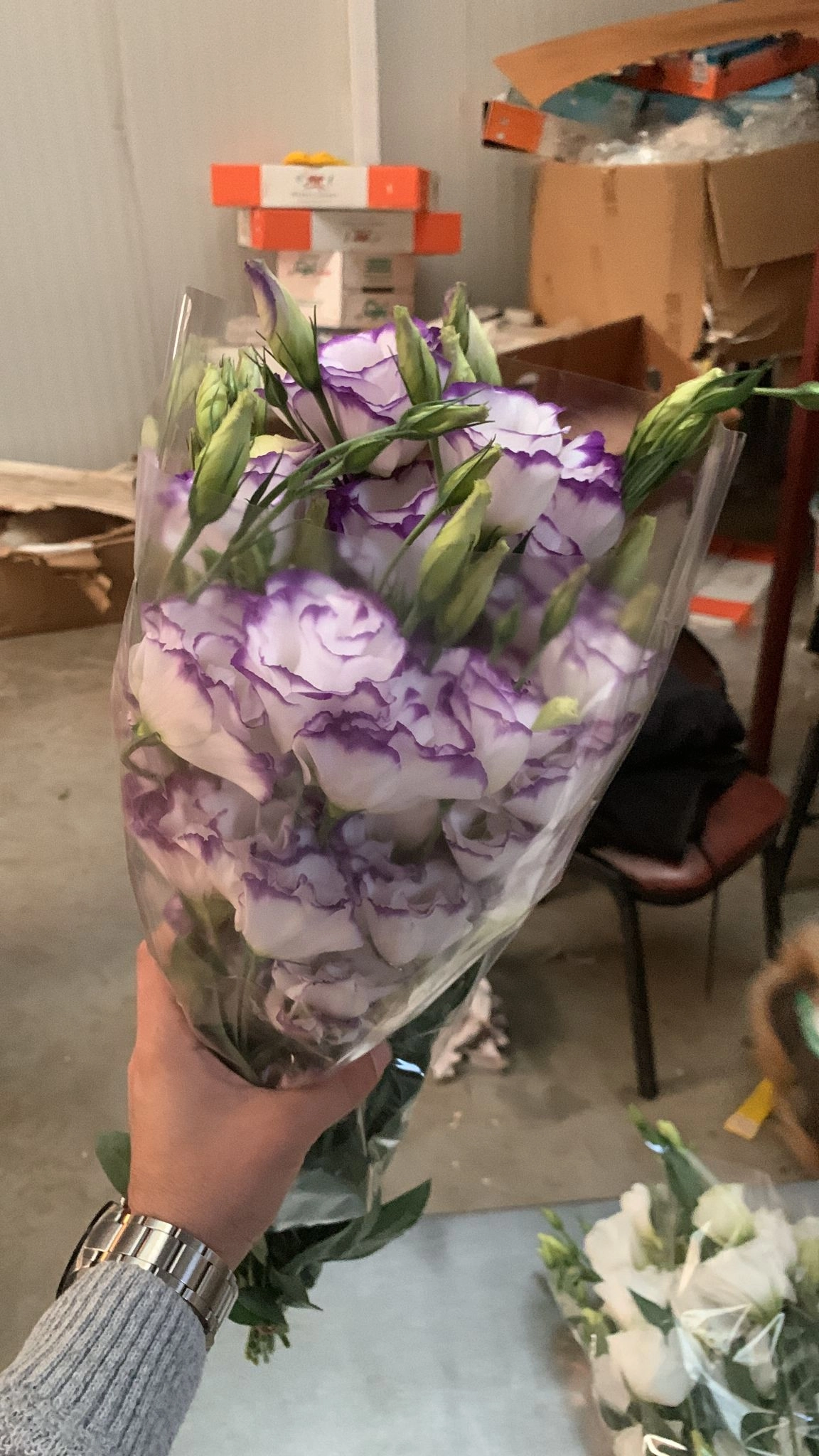 wholesale-white-purple-lisianthus-flowers-turkey