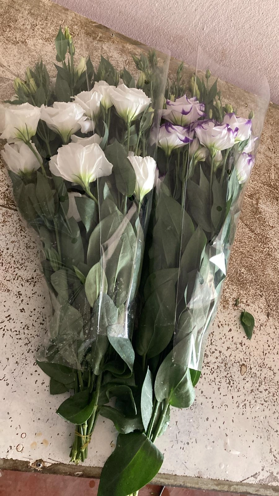 wholesale-white-purple-lisianthus-flowers