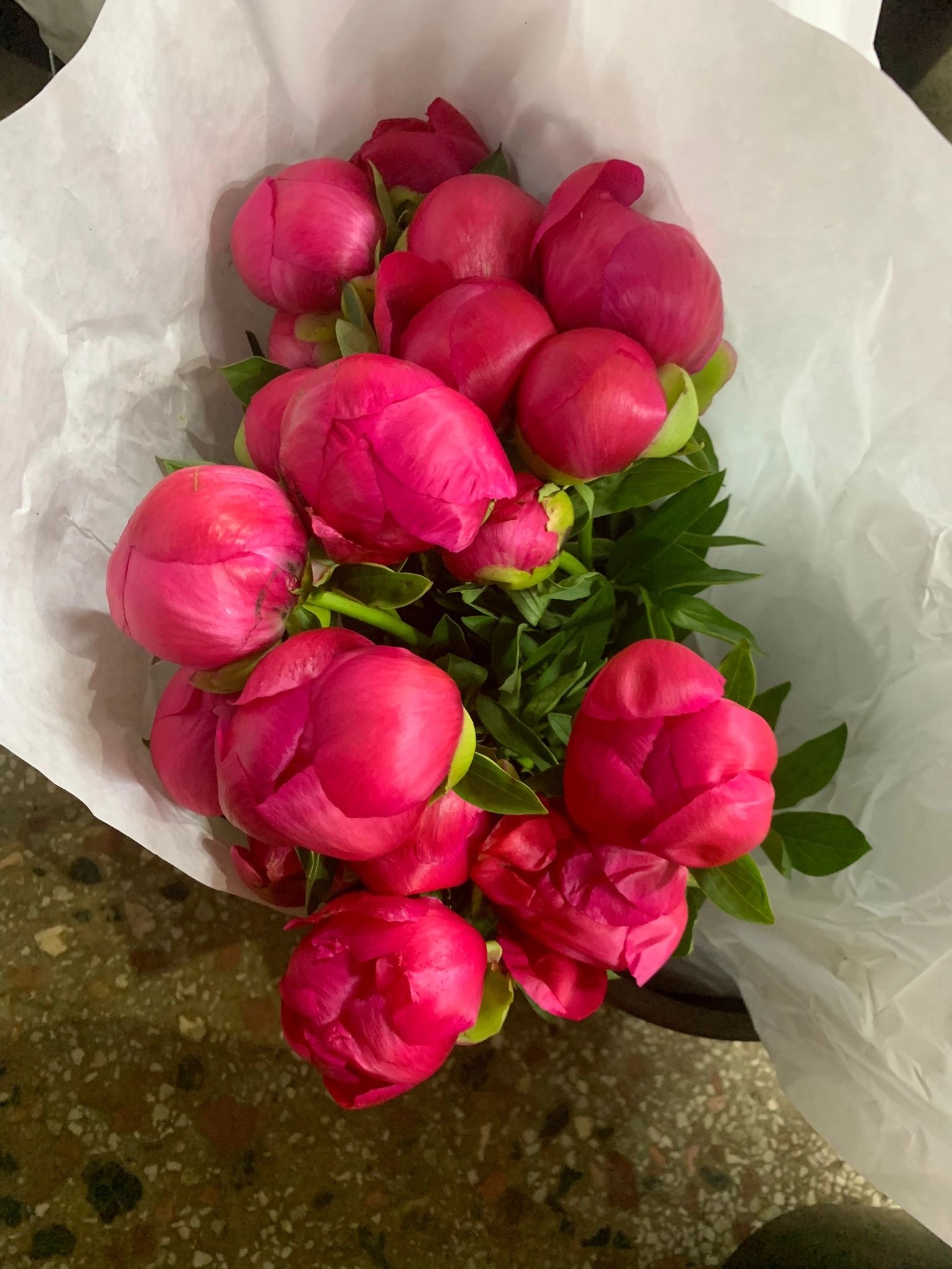 Wholesale peony flower To Beautify Your Environment 