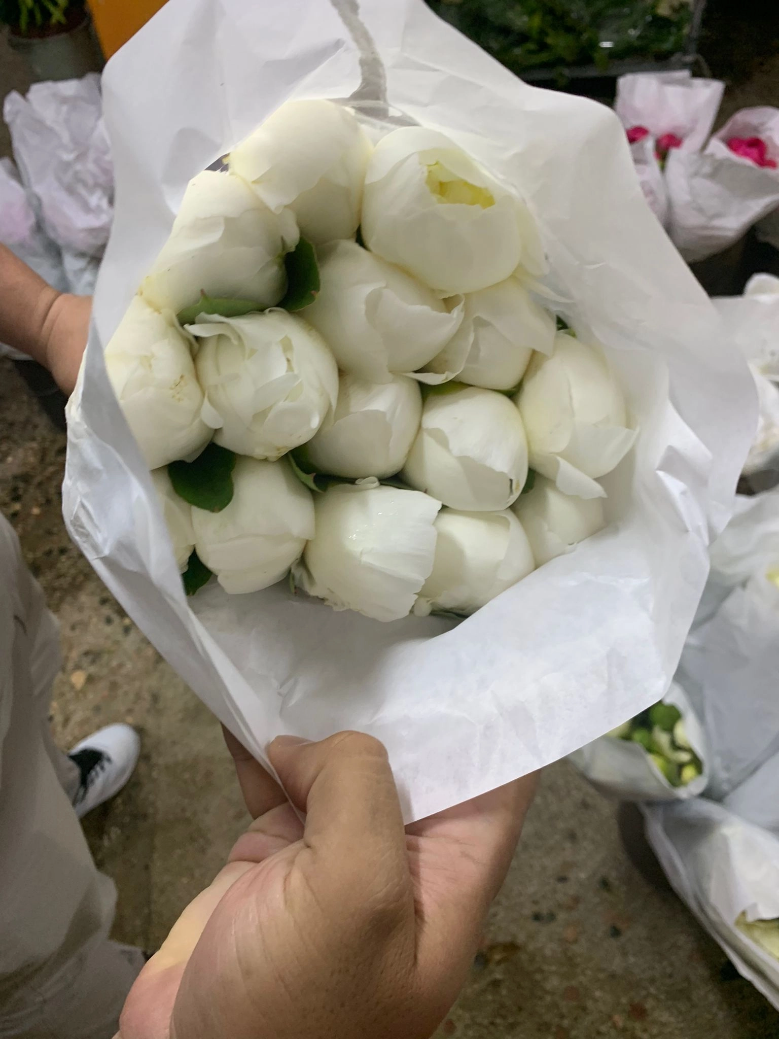 Wholesale peony flower To Beautify Your Environment 